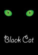 cat's eyes