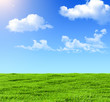 green field