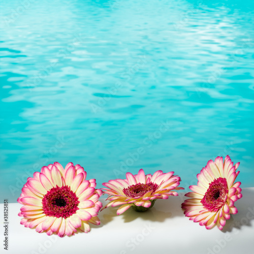 Foto: Flowers for spa Flowers for spa