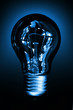 Bulb light