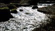 Glizernder Bach Japan / Full Hd Video Glizernder Bach Japan / Full Hd Video