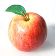 Photo: Gala; Apfel Gala; Apfel