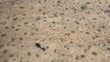 Helicopter shadow over desert