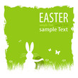 Osterhase