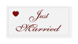 Just married on a white plate Just married on a white plate