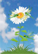 Decorative flower background. Vector illustration. Decorative flower background. Vector illustration.