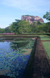 Gardens of Sigiriya Lion's rock fortress Gardens of Sigiriya Lion's rock fortress