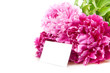 peonies
