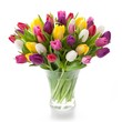 Foto: Bunte Tulpen Bunte Tulpen