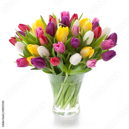 Photo: Bunte Tulpen Bunte Tulpen