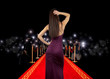 Celebrity on red carpet