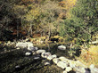 lake district
