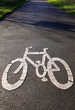 Cycle lane 02