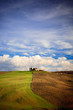 Paesaggio toscano Paesaggio toscano