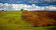 Paesaggio toscano Paesaggio toscano