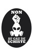Gaz Schiste