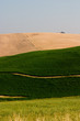 Paesaggio toscano Paesaggio toscano
