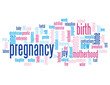 PREGNANCY Tag Cloud (pregnant woman maternity birth mother baby)