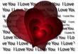 Valentine's day Valentine's day