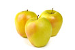 Golden delicious, apple typical of Trentino Alto Adige, Italy