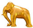 golden elephant golden elephant