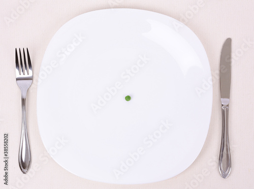Photo: Small portion of food on a big plate Small portion of food on a big plate