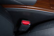 Safety buckle on a car seat