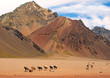 Naturlandschaft in Argentinien, Südamerika.