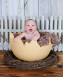 sweet baby sitting in giant egg