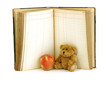 old bear, apple and old book isolated on white