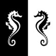 Graphical vector seahorse