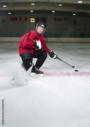Photo: Hockey Player Determination Hockey Player Determination