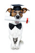 graduated dog with diploma