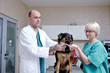 veterinarian and assistant in a small animal clinic