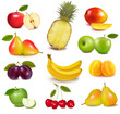 Big group of different fruit. Vector.