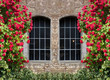 Blumenfenster