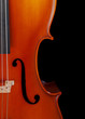 Cello closeup