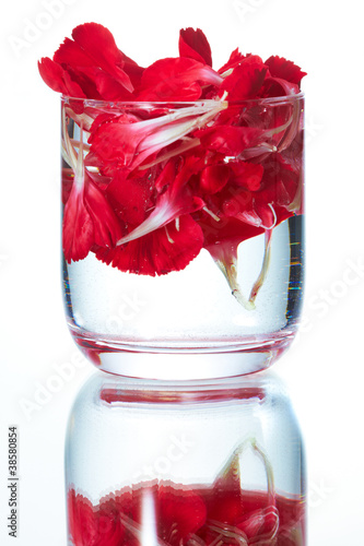 Photo: 花の浮くタンブラー 花の浮くタンブラー