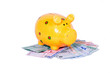 Geld Scheine Geschenk