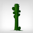Engraving vintage cactus plant.