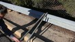 Picking Up Two Pieces Of Pipe Off Guardrail Picking Up Two Pieces Of Pipe Off Guardrail