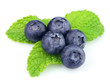 Blueberry