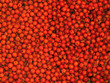 berries