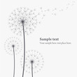 vector dandelion