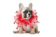 Be My Valentine