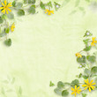 Illustration: Summer background with yellow flowers (Ficaria verna) Summer background with yellow flowers (Ficaria verna)