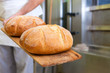Bäcker beim Brotbacken