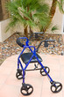 Walker Outdoors On A Patio With Palm Tree In Background