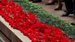 People put flower on ceremony, only legs are visible