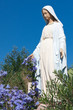 vierge de bocca d'oro, Porto Vecchio, Corse vierge de bocca d'oro, Porto Vecchio, Corse